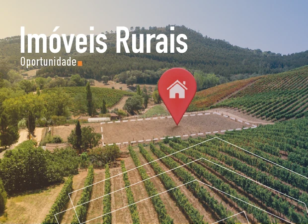 Imagem do banner Imoveis Rurais