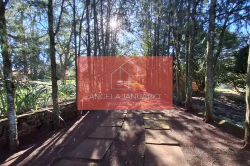 Fazenda/Sítios/Chácaras Á Venda Sitio Londrina
