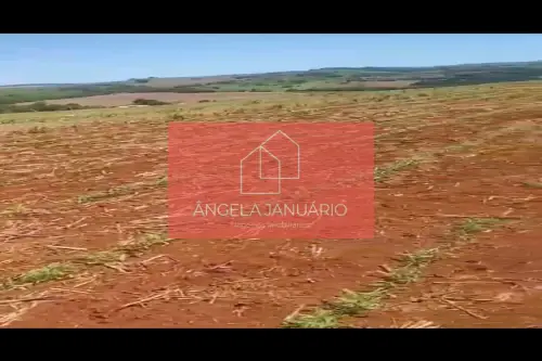 Fazenda/Sítios/Chácaras Á Venda Paiquerê Londrina