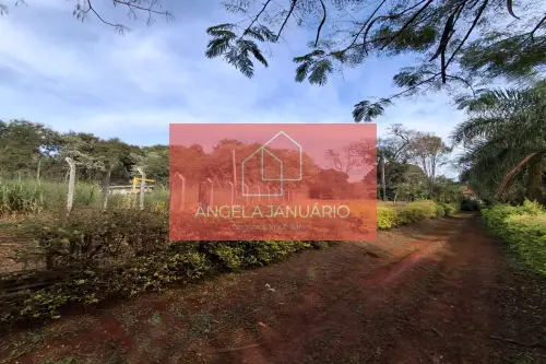 Fazenda/Sítios/Chácaras Á Venda Chácara Londrina