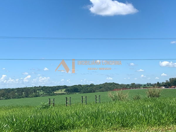 Imagens do imóveis Terreno Jardim Santa Adelaide - Cambe