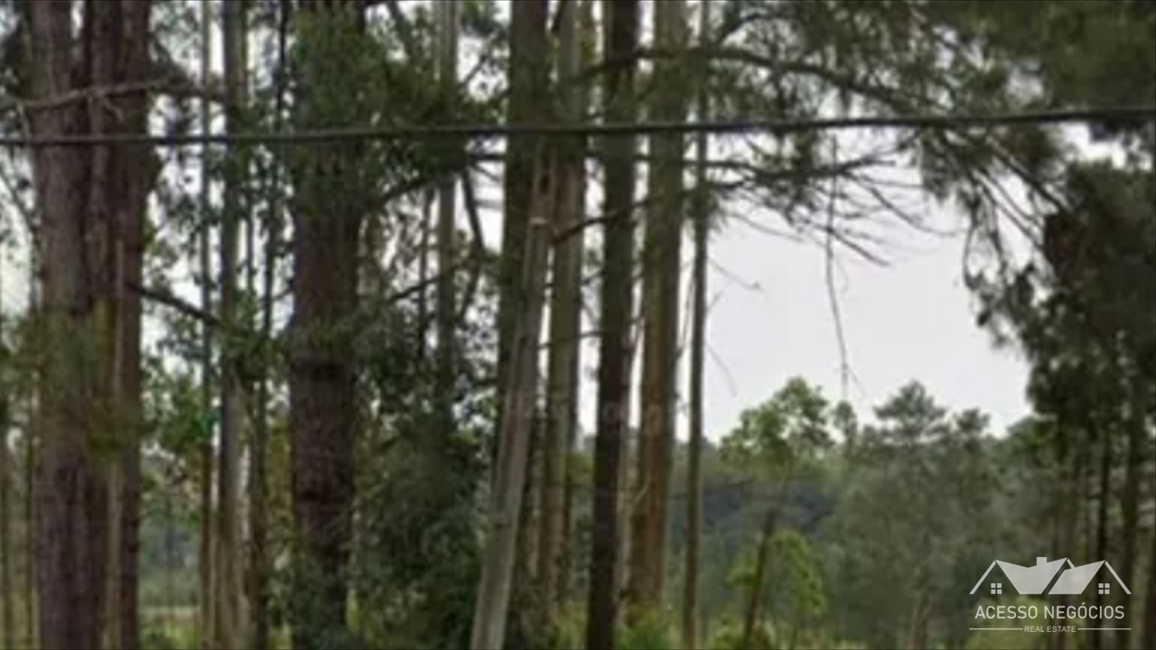 LOTE  EM EMBU GUAÇU - 54330 M² - PA955