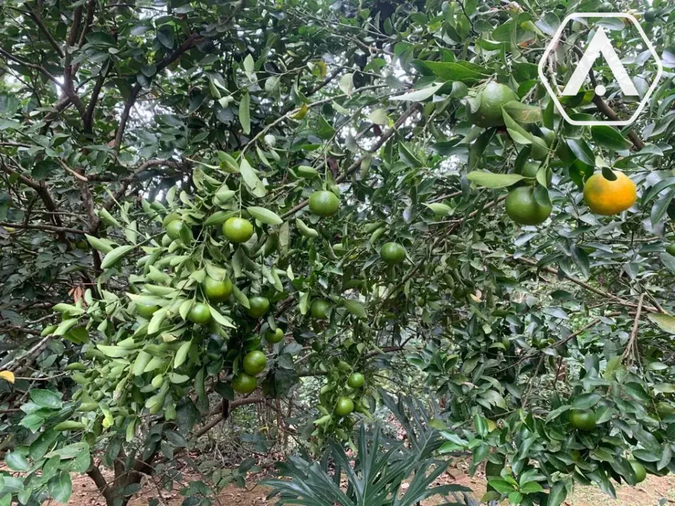 Imagens do imóveis CHÁCARA EM  MAIRIPORÃ- VENDA