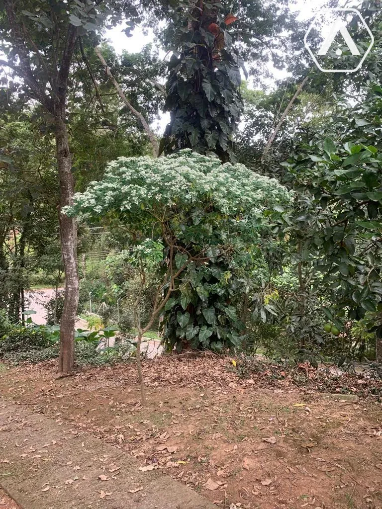 Imagens do imóveis CHÁCARA EM  MAIRIPORÃ- VENDA