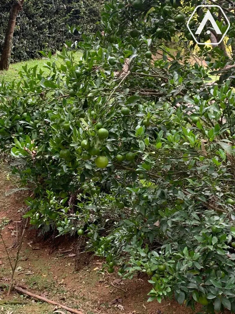 Imagens do imóveis CHÁCARA EM  MAIRIPORÃ- VENDA