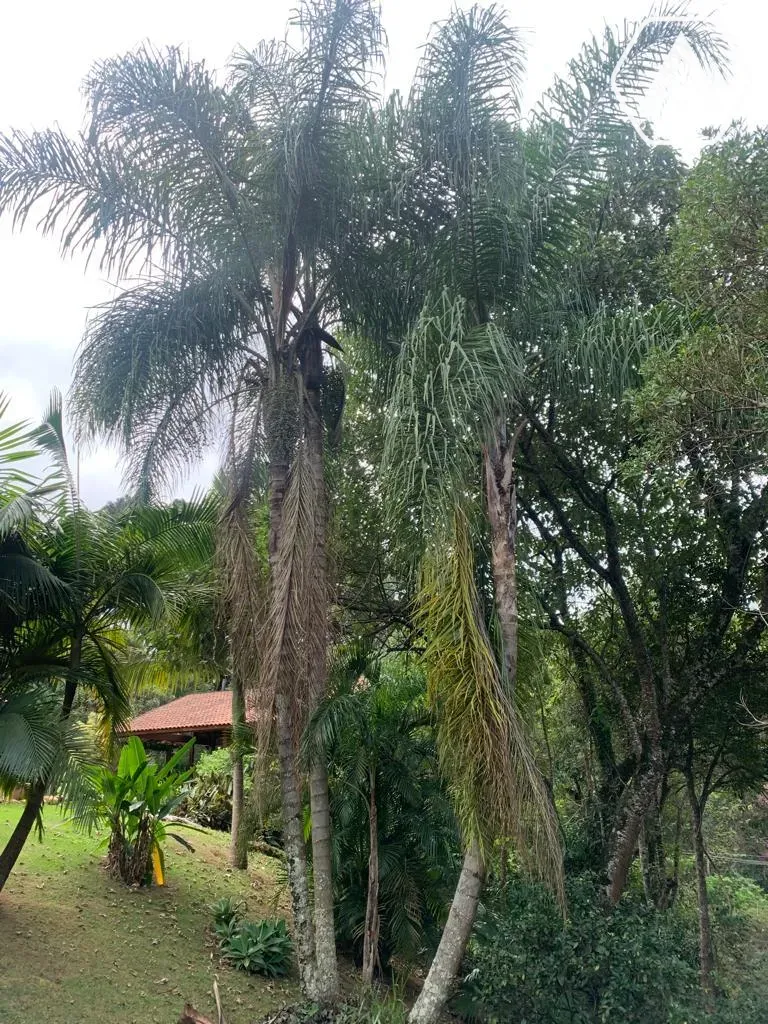 Imagens do imóveis CHÁCARA EM  MAIRIPORÃ- VENDA