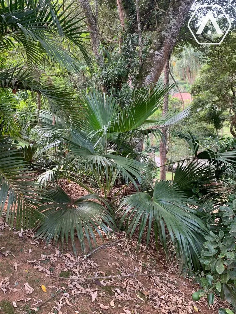 Imagens do imóveis CHÁCARA EM  MAIRIPORÃ- VENDA