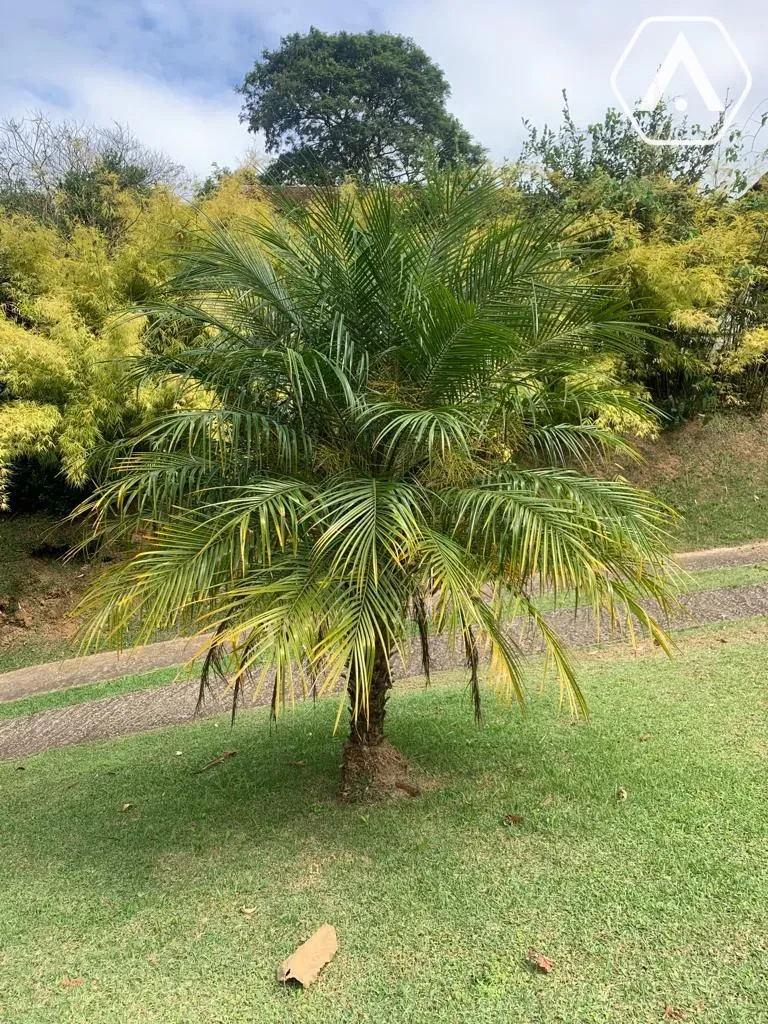 Imagens do imóveis CHÁCARA EM  MAIRIPORÃ- VENDA
