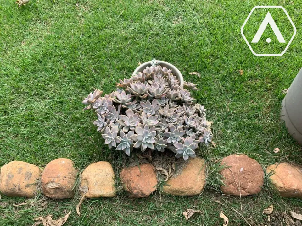 Imagens do imóveis CHÁCARA EM  MAIRIPORÃ- VENDA
