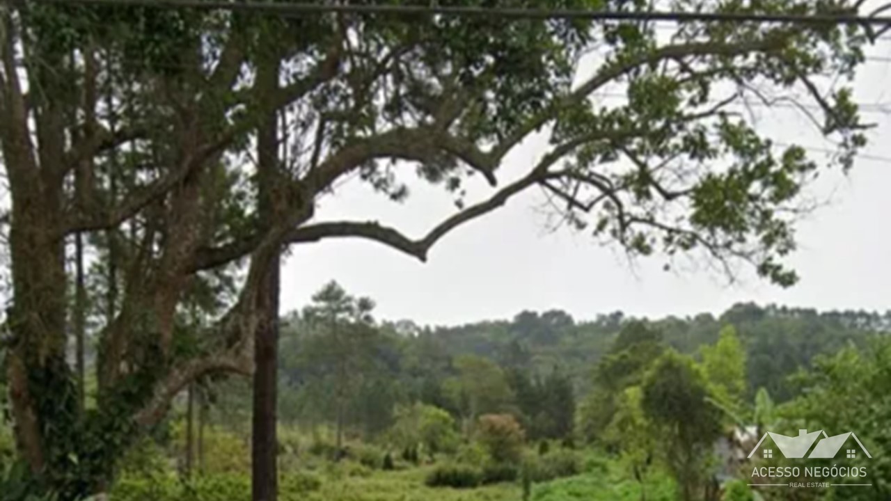 LOTE  EM EMBU GUAÇU - 54330 M² - PA955