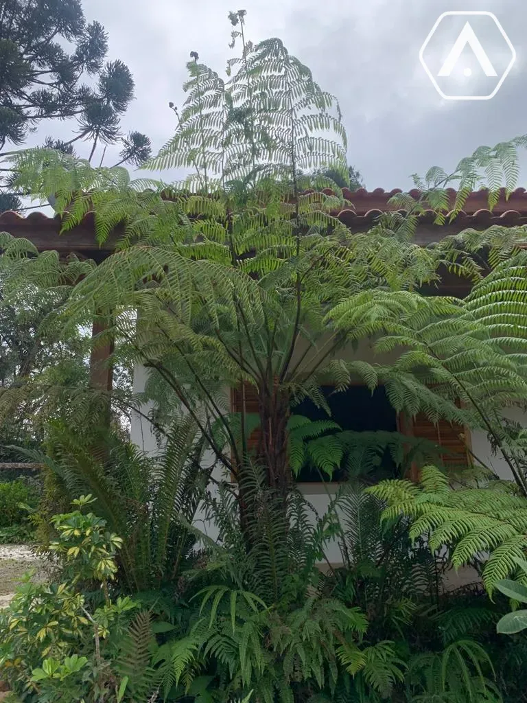 Imagens do imóveis CHÁCARA EM  MAIRIPORÃ- VENDA