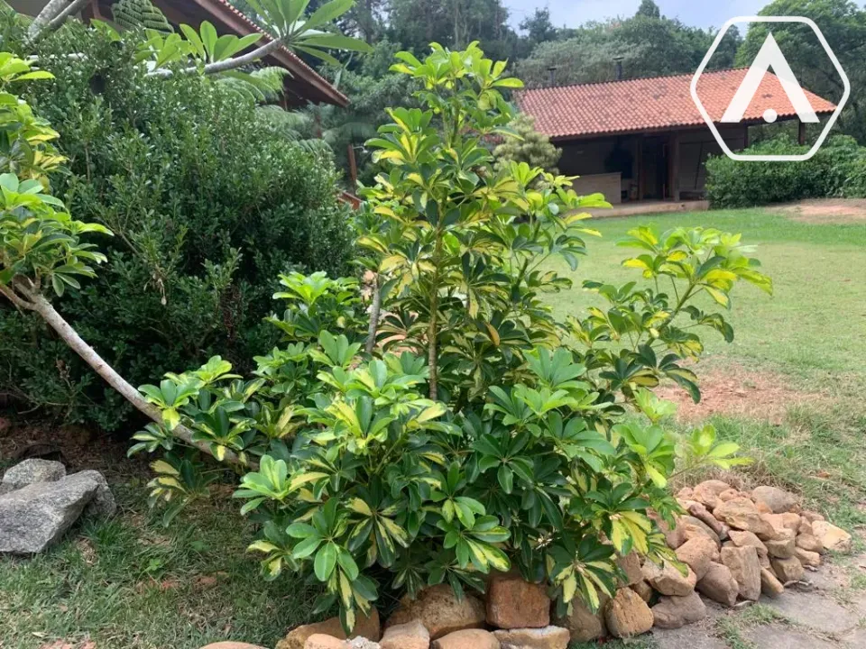 Imagens do imóveis CHÁCARA EM  MAIRIPORÃ- VENDA