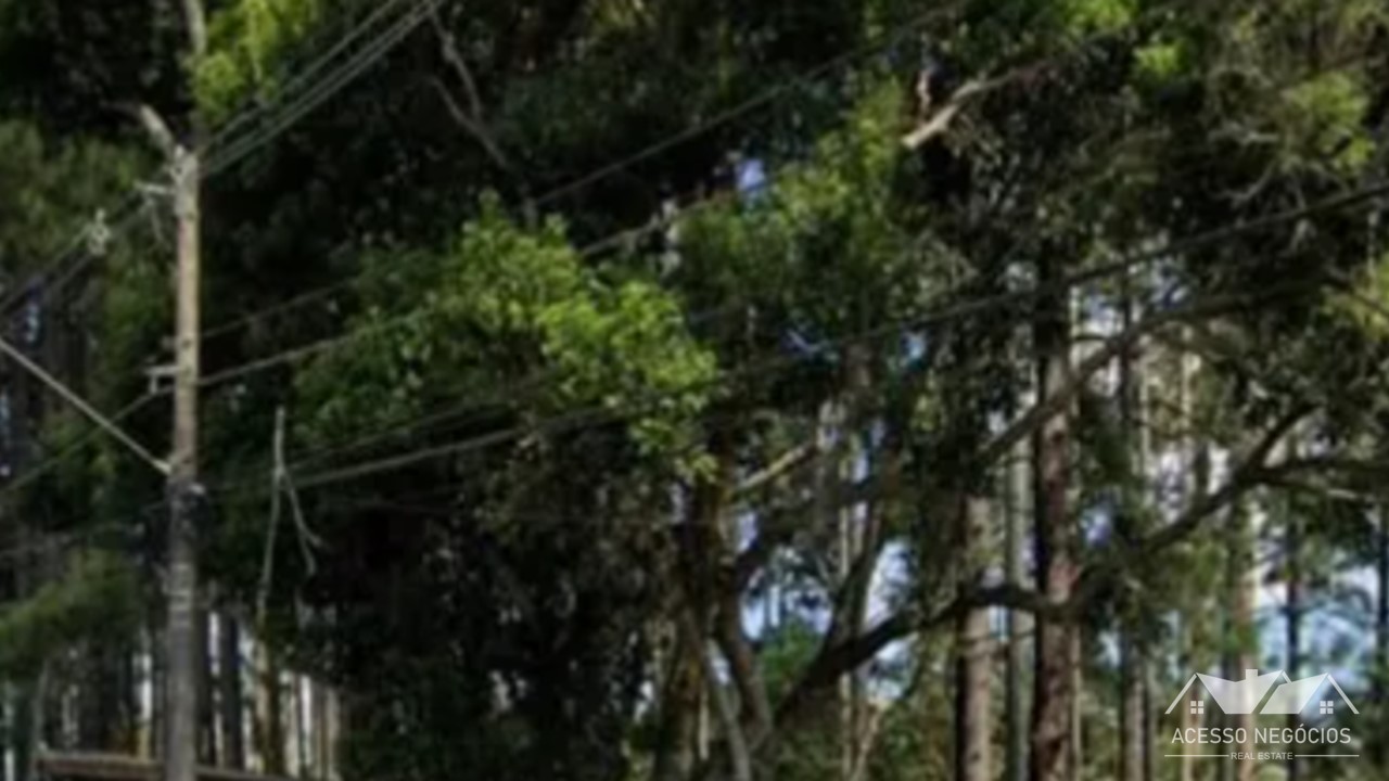 LOTE  EM EMBU GUAÇU - 54330 M² - PA955