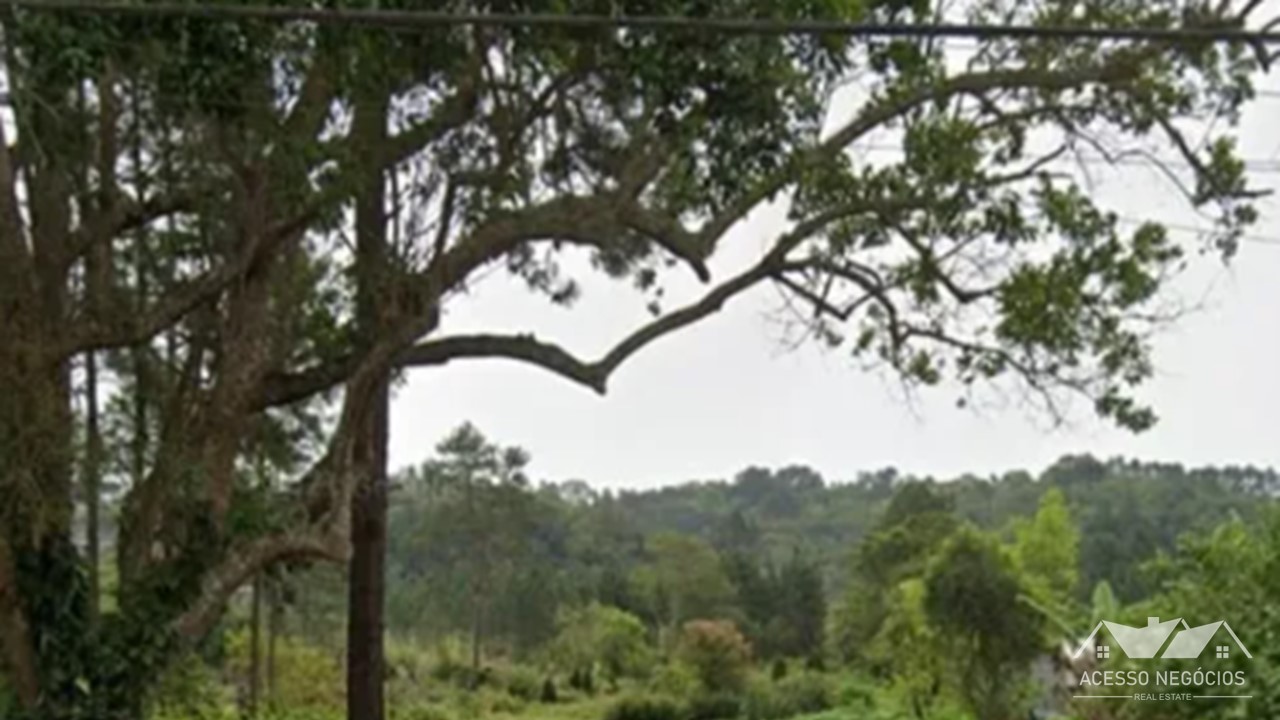 LOTE  EM EMBU GUAÇU - 54330 M² - PA955