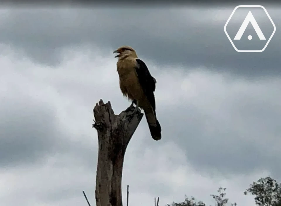Imagens do imóveis CHÁCARA EM ARAÇOIABA DA SERRA -  5000M²-  VENDA