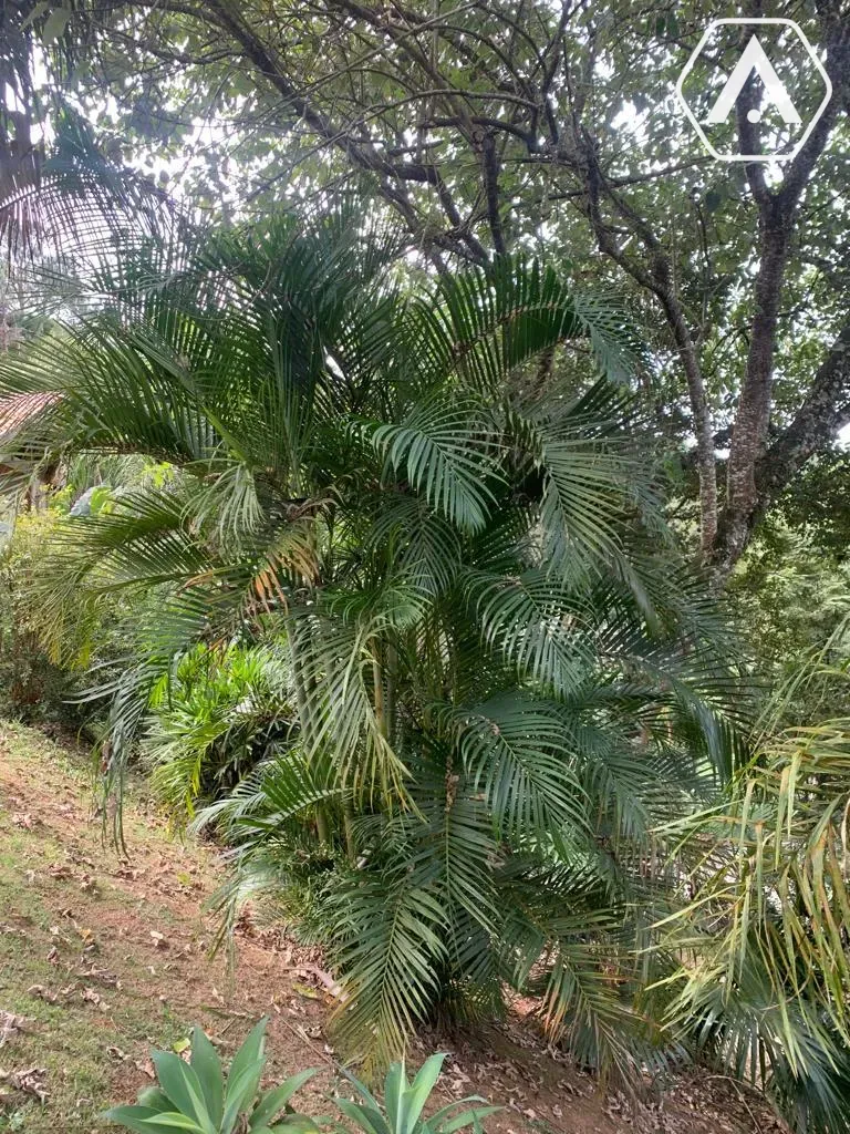 Imagens do imóveis CHÁCARA EM  MAIRIPORÃ- VENDA