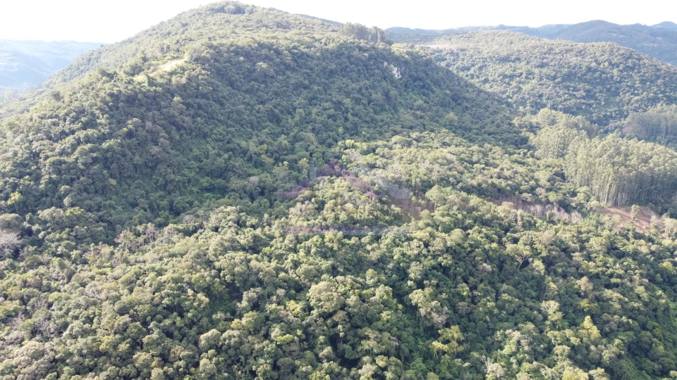 Área de terra com potencial de vista à venda em Picada Café na Serra Gaúcha