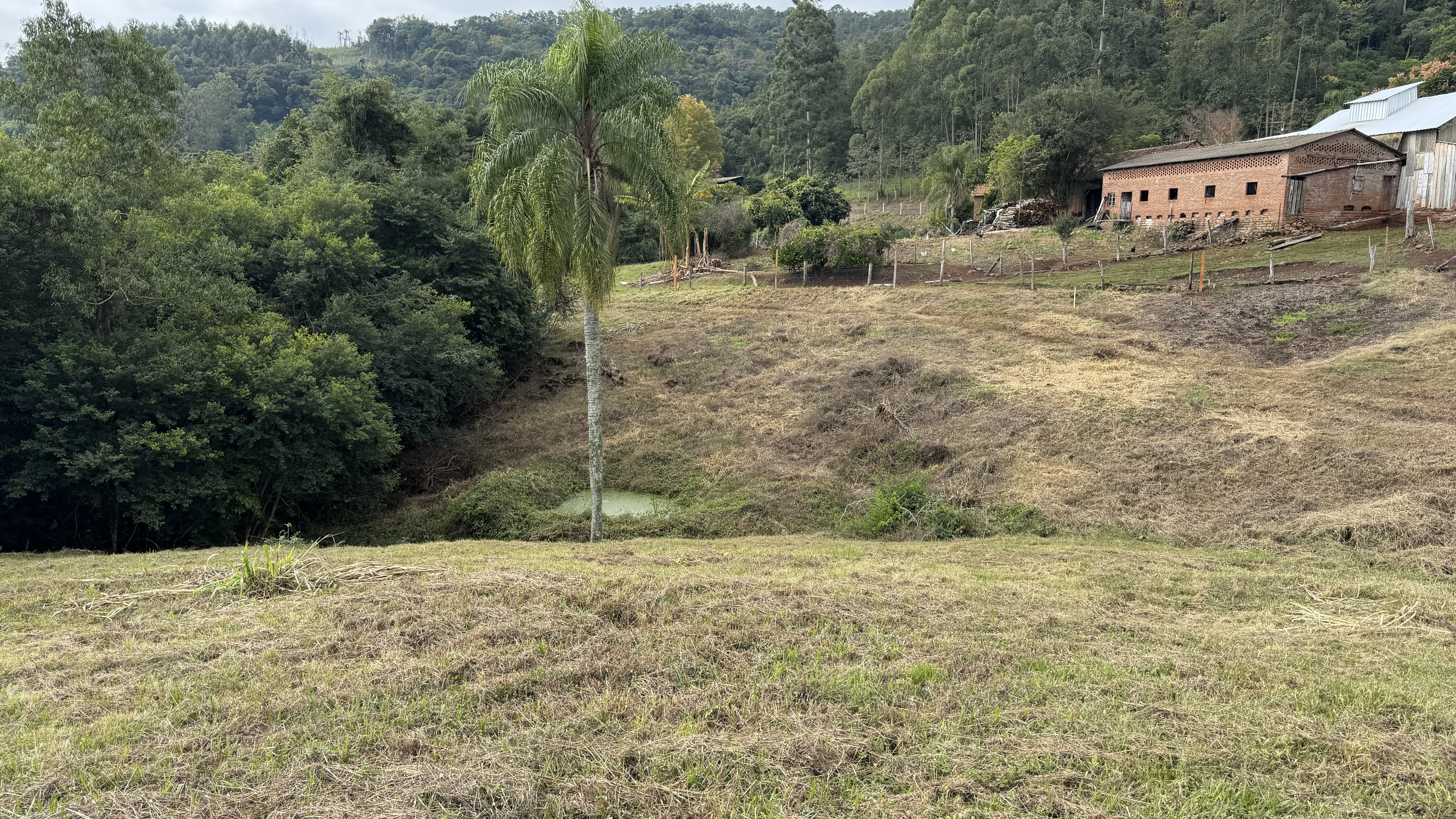 Área de terra com riacho à venda em Morro Reuter-RS