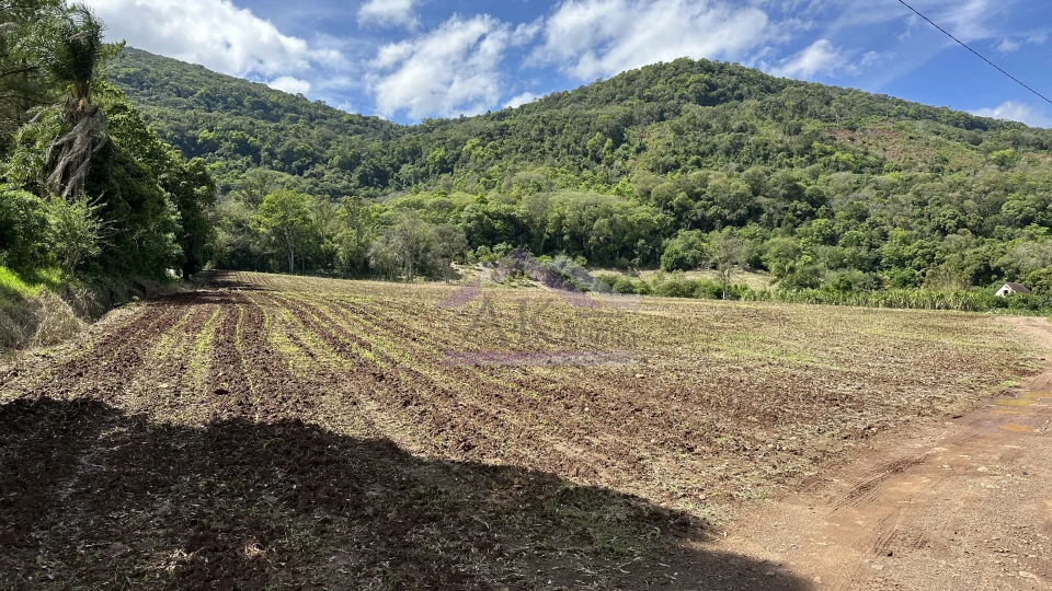 Sítio com riacho e casa enxaimel à venda em Picada Café na Serra Gaúcha