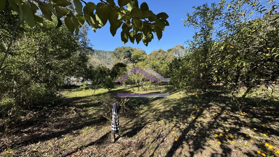 Imagens do imóveis Sítio de 9 hectares à venda em Nova Petrópolis na Serra Gaúcha