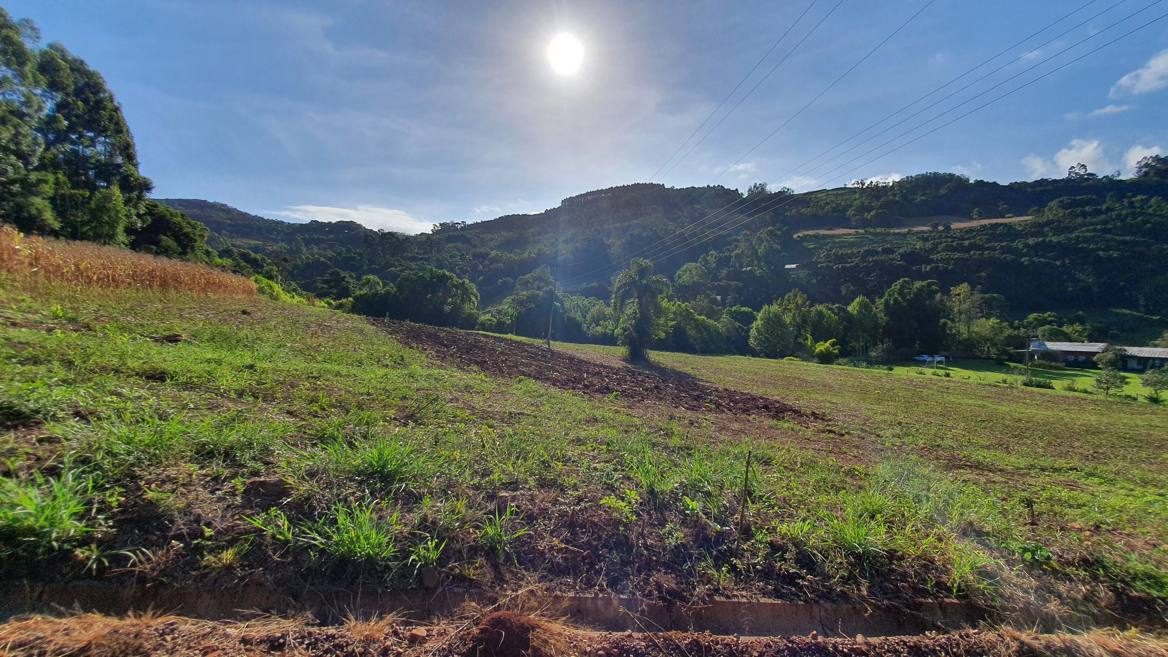 Sítio com córrego e açude a venda em Morro Reuter, na Serra Gaúcha