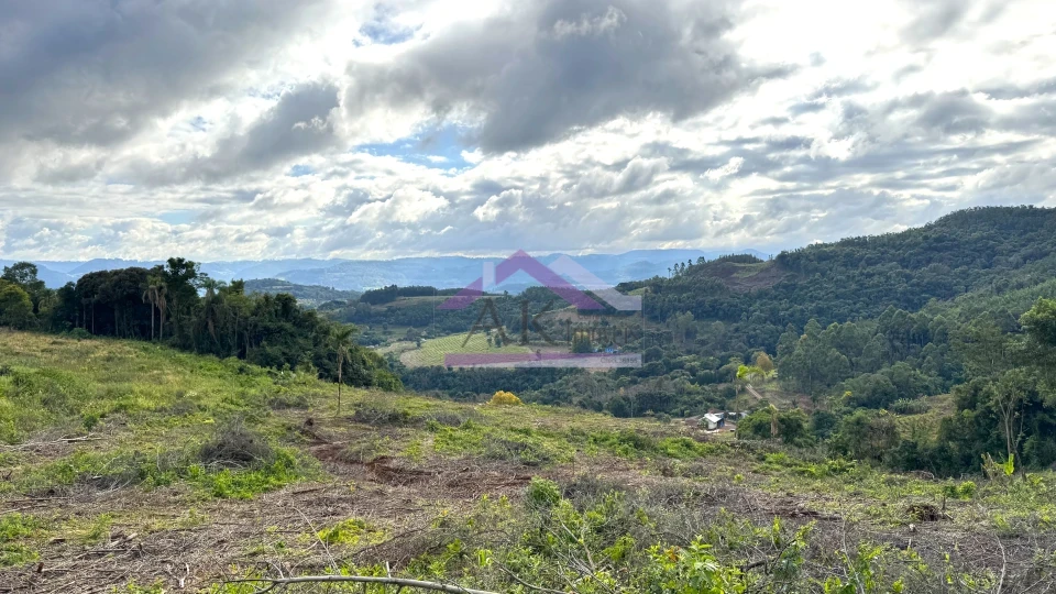 Fazenda/Sítios/Chácaras À Venda Recanto Das Flores Morro Reuter