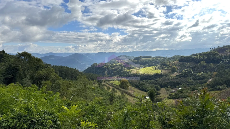 Área de terra com vista e vertente à venda em Morro Reuter-RS