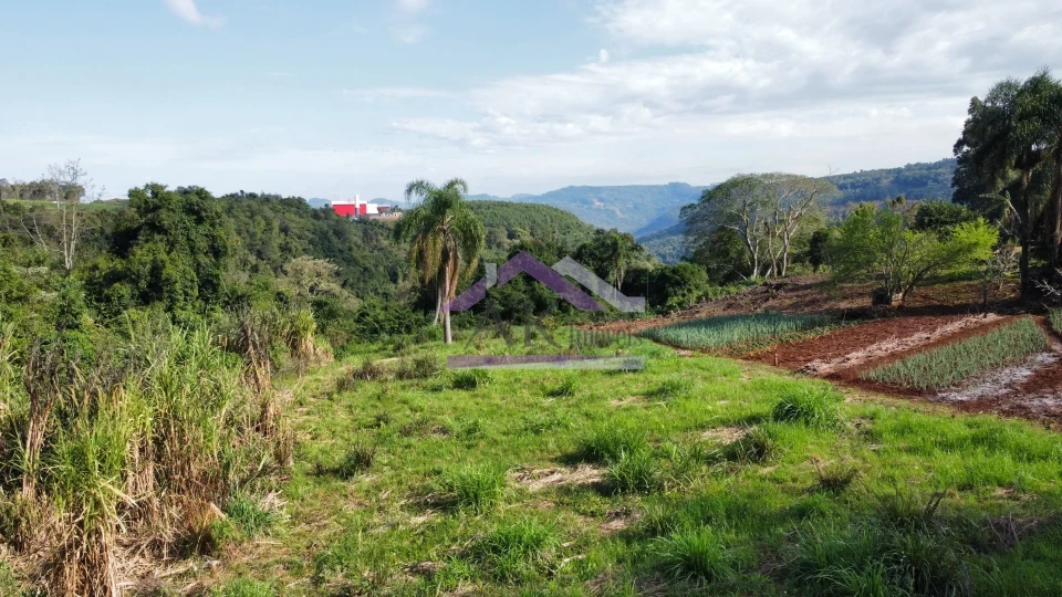 Imagens do imóveis Amplo terreno com vista à venda em Picada Café na Serra Gaúcha