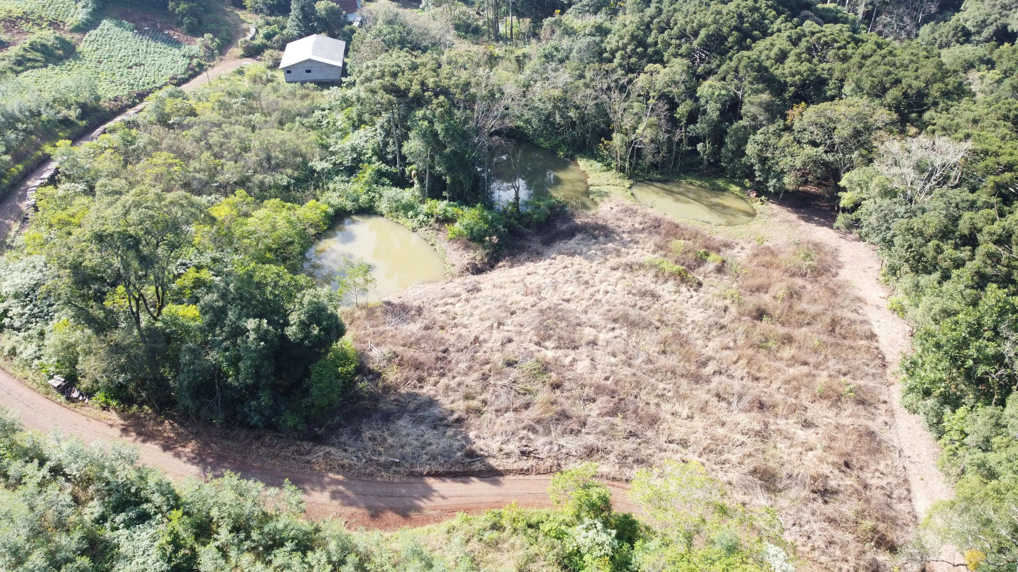 Área de terra com açudes e riacho à venda em Morro Reuter-RS