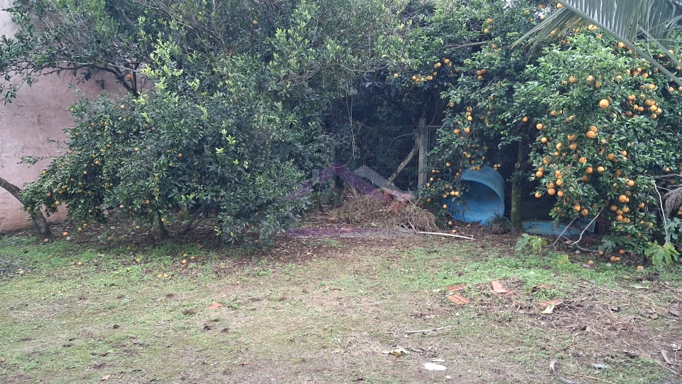 Imagens do imóveis Casa com 3 quartos para locação próxima à BR-116, na cidade de Picada Café