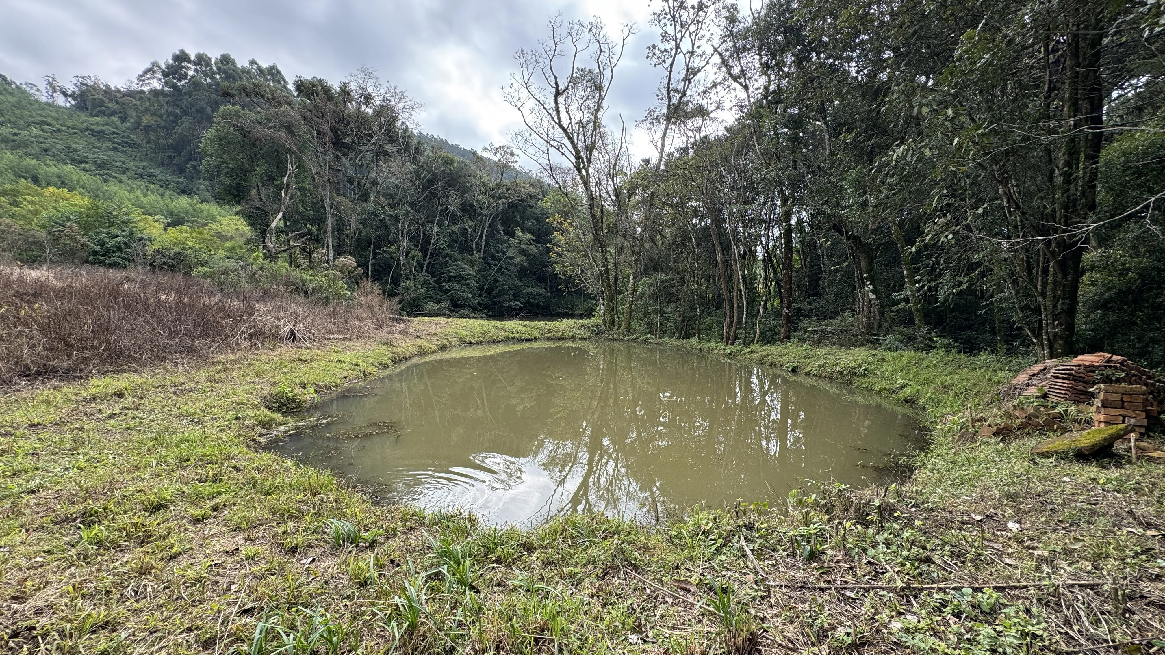 Área de terra com açudes e riacho à venda em Morro Reuter-RS