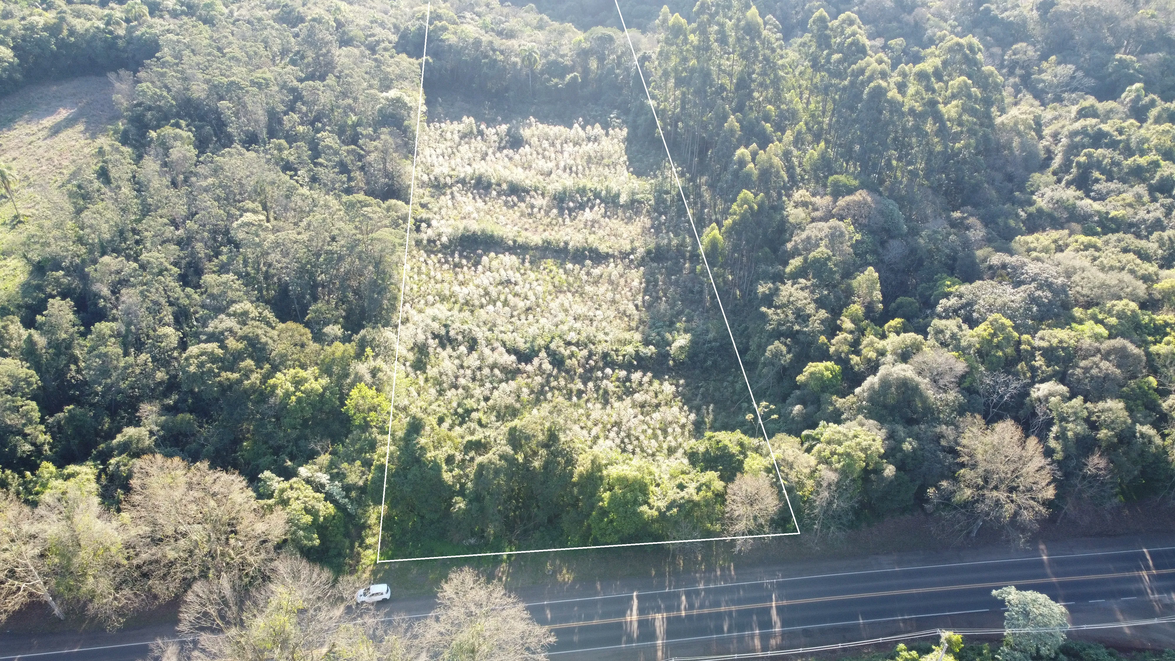 Área de terras com duas frentes para a BR 116 à venda em Picada Café na Serra Gaúcha