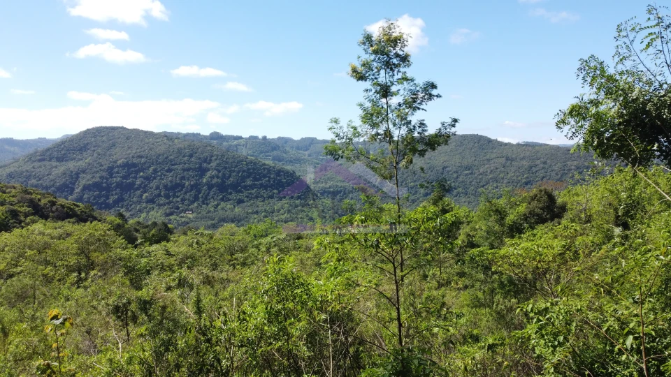 Imagens do imóveis Área de terra com vista à venda em Picada Café na Serra Gaúcha