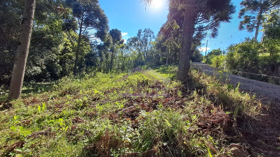 Excelente área de terra com ótima localizaçao à venda em Nova Petrópolis