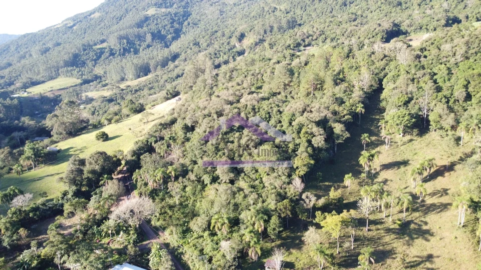 Imagens do imóveis Área de terra à venda em Picada Café na Serra Gaúcha