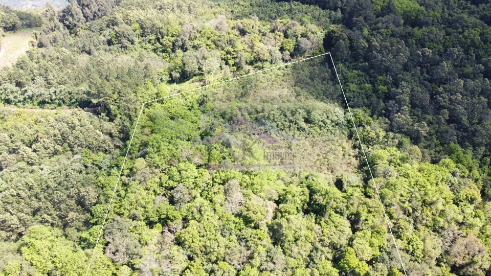 Imagens do imóveis Área de terra com vista à venda em Picada Café na Serra Gaúcha