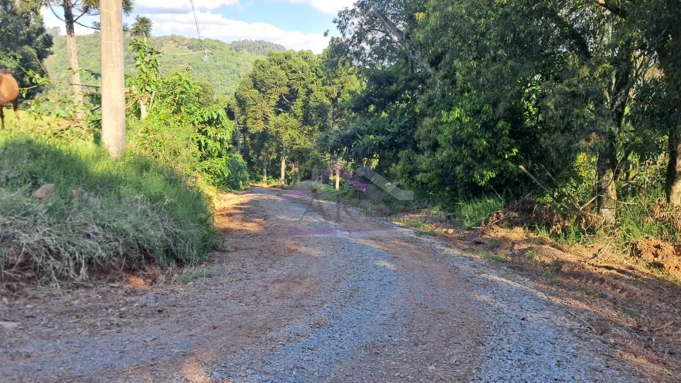 Excelente área de terra com ótima localizaçao à venda em Nova Petrópolis