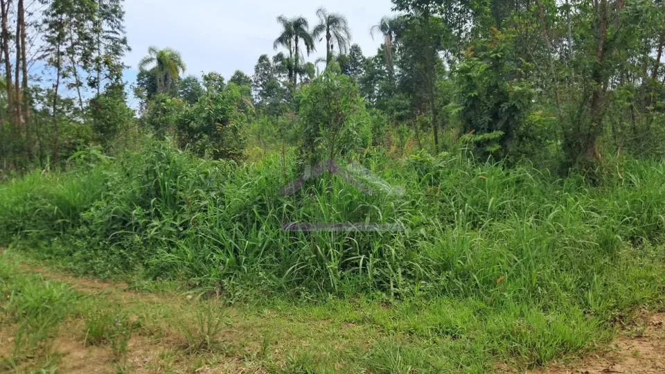 Imagens do imóveis Área de terra com 3 hectares e riacho à venda em Presidente Lucena
