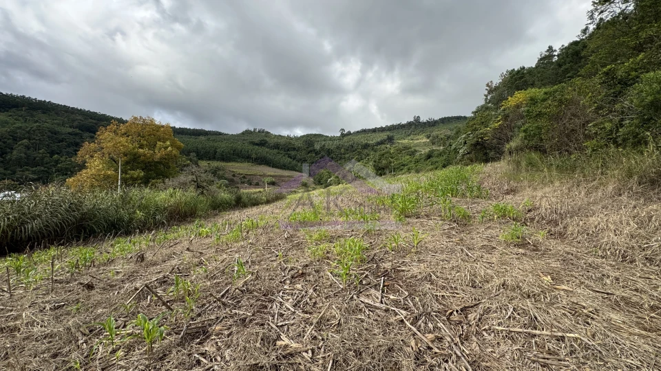 Fazenda/Sítios/Chácaras À Venda Recanto Das Flores Morro Reuter