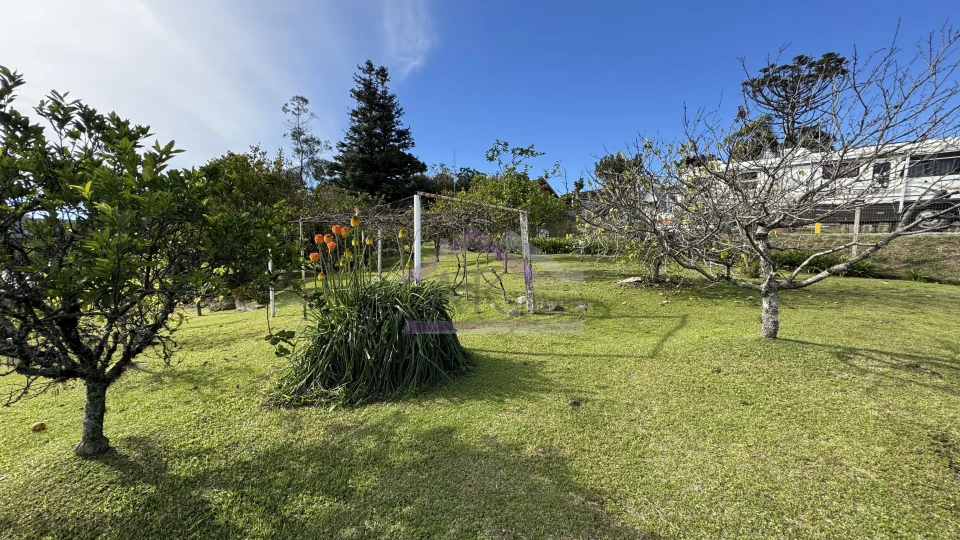 Amplo terreno à venda em Nova Petrópolis na Serra Gaúcha