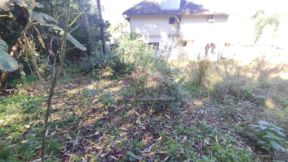 Imagens do imóveis Excelente terreno à venda no bairro Alto da Colina em Picada Café na Serra Gaúcha