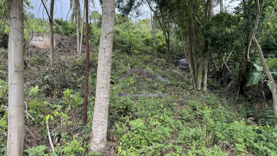 Área de terra com vista e vertente à venda em Morro Reuter-RS