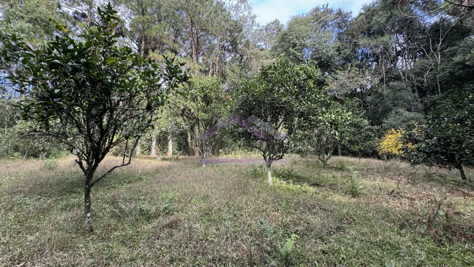 Imagens do imóveis Sítio com vista espetacular à venda em Santa Maria do Herval