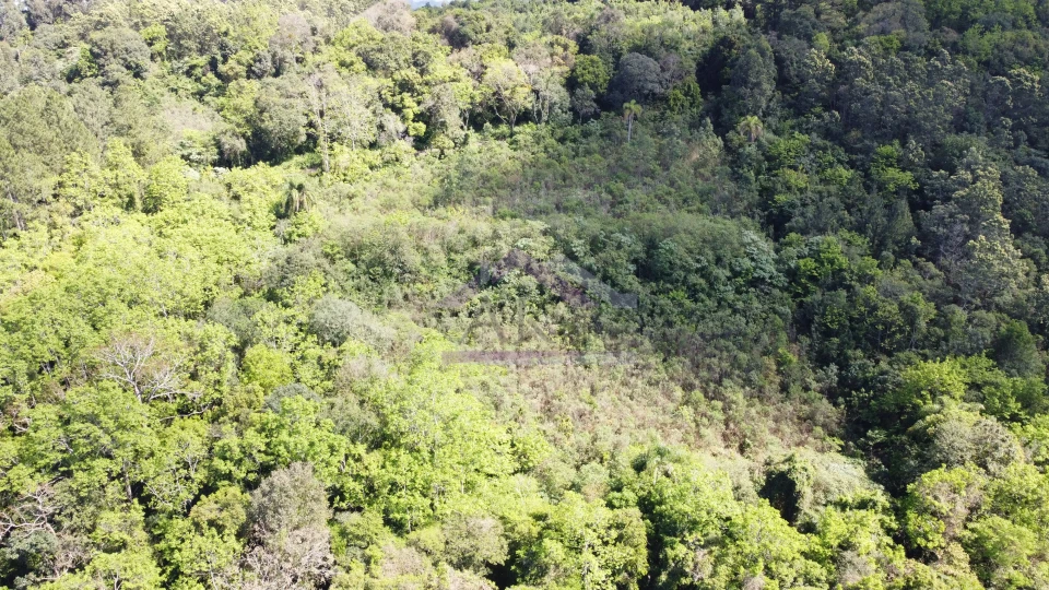 Imagens do imóveis Área de terra com vista à venda em Picada Café na Serra Gaúcha