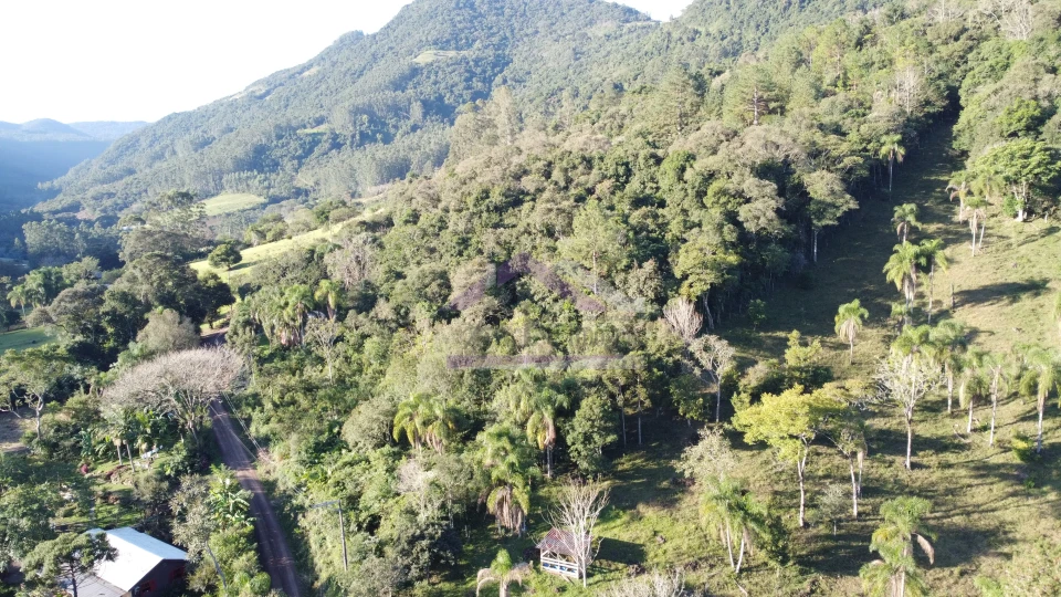 Imagens do imóveis Área de terra à venda em Picada Café na Serra Gaúcha