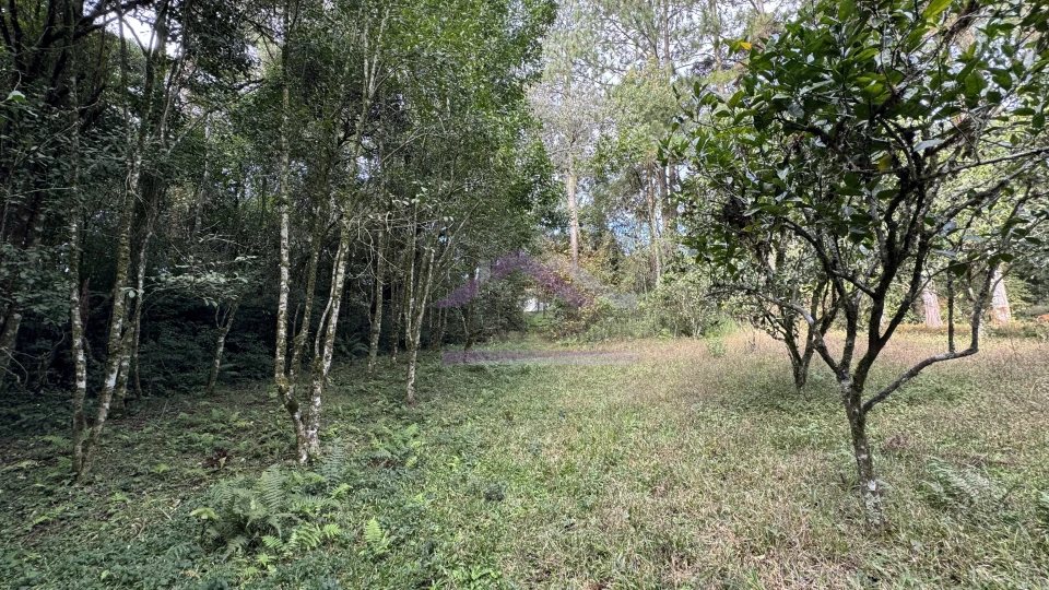 Imagens do imóveis Sítio com vista espetacular à venda em Santa Maria do Herval