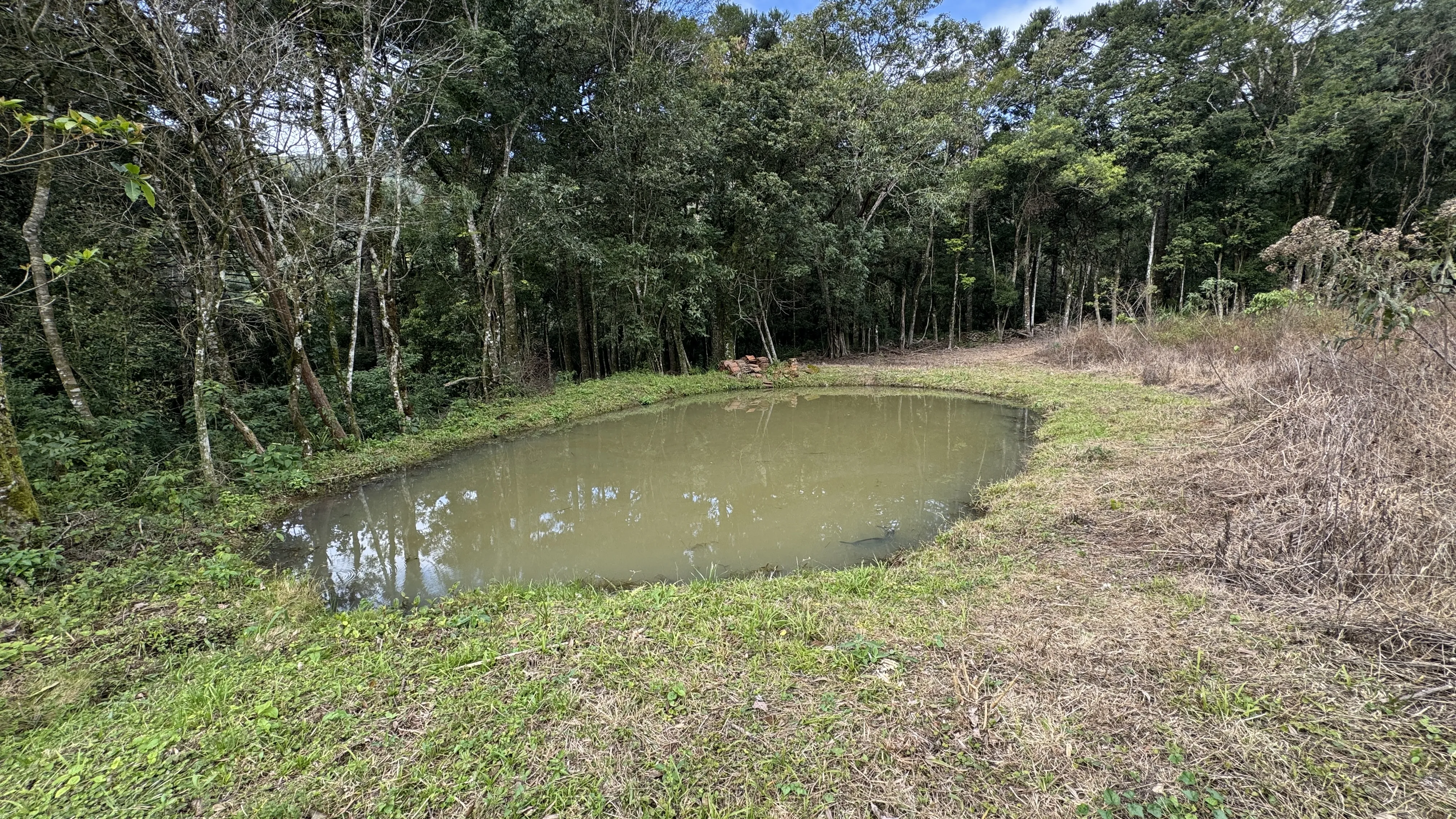 Área de terra com açudes e riacho à venda em Morro Reuter-RS