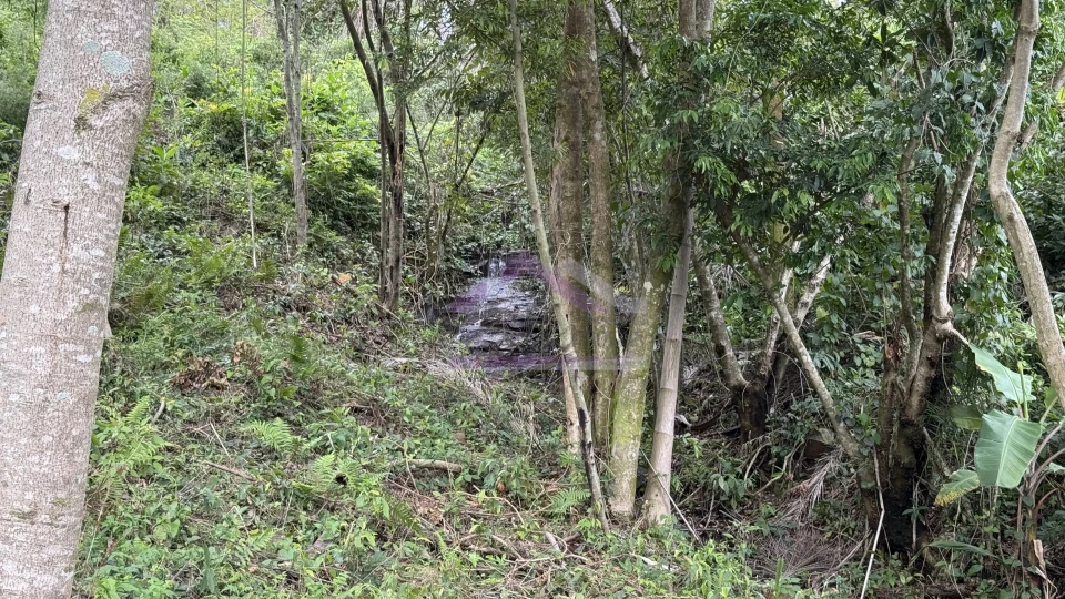 Área de terra com vista e vertente à venda em Morro Reuter-RS