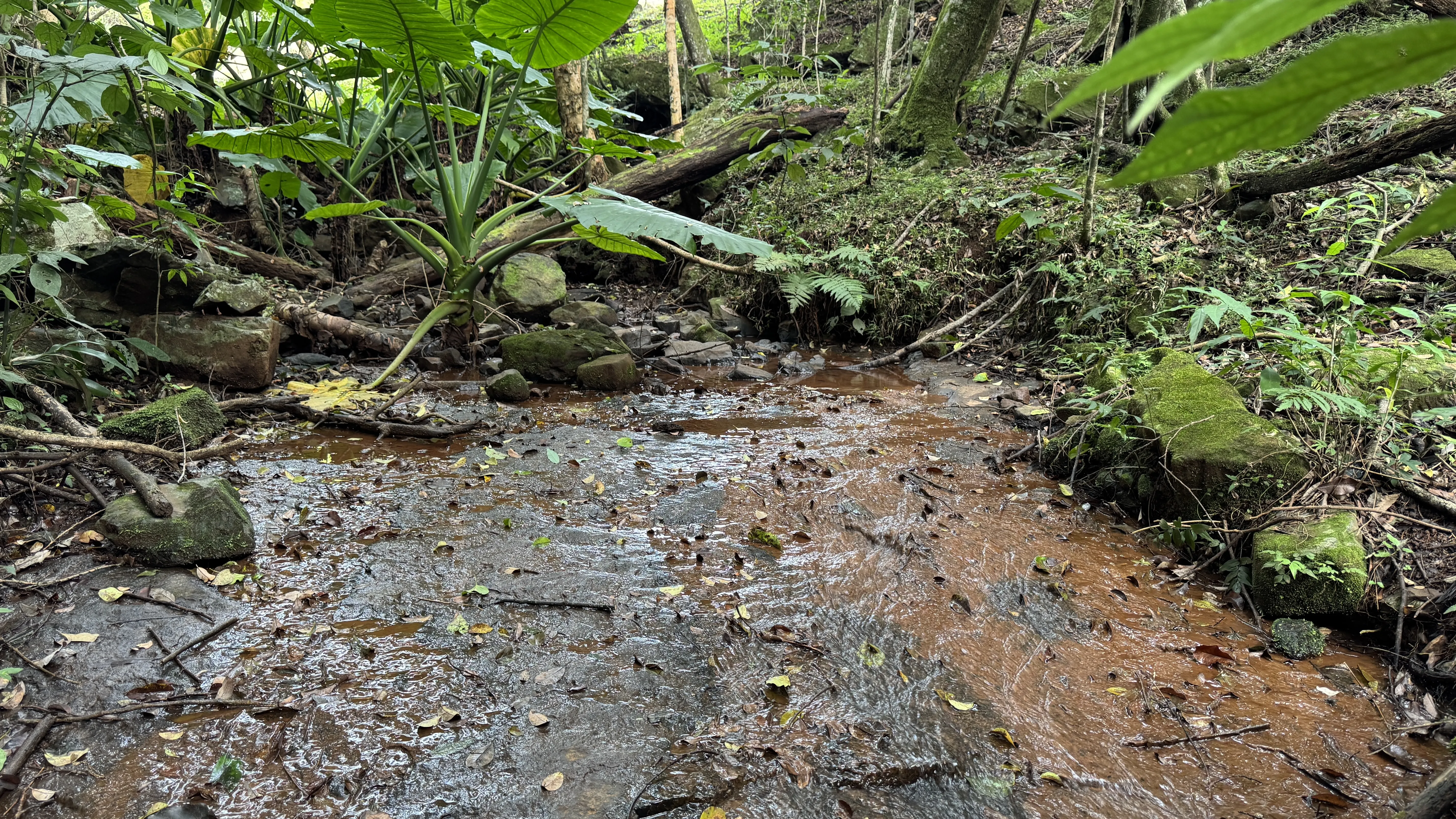 Área de terra com riacho à venda em Morro Reuter-RS