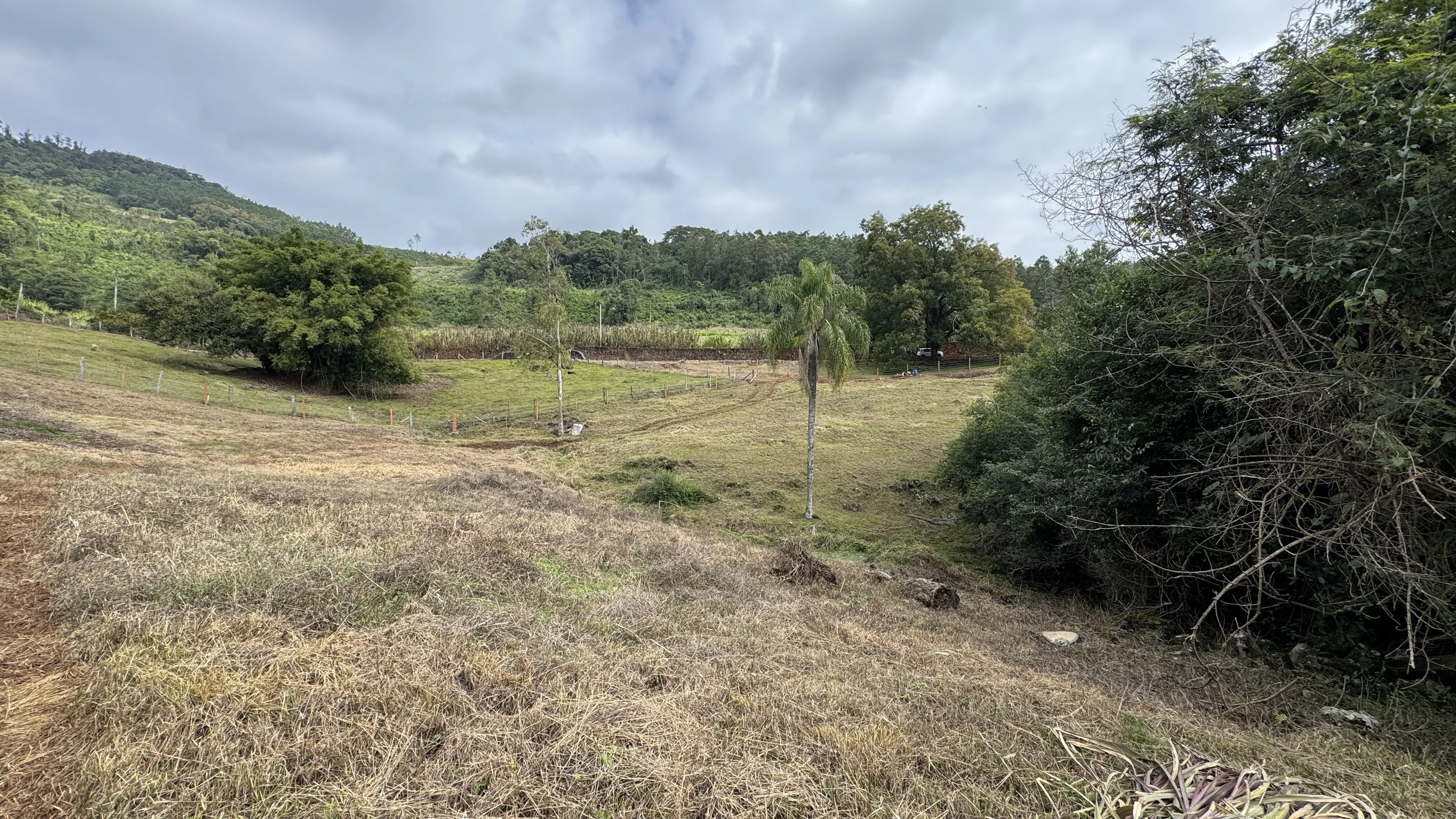 Área de terra com riacho à venda em Morro Reuter-RS